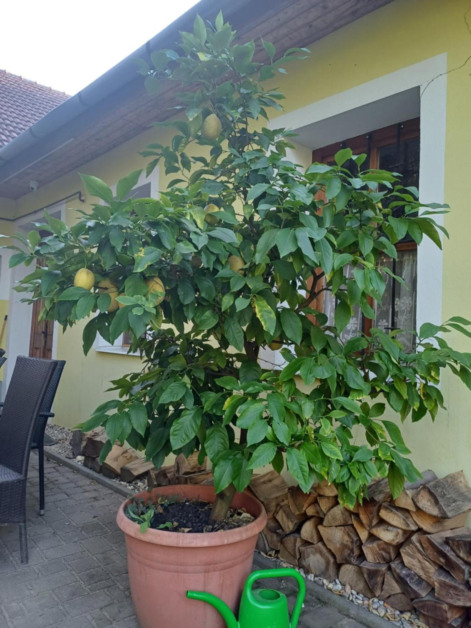 Zanati Apartmannhaz Nagykapornak Екстер'єр фото